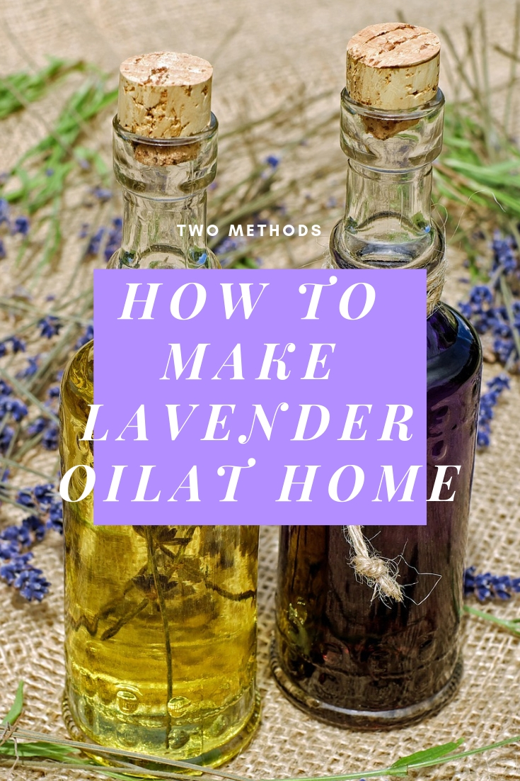 How to Make Lavender Oil? (2 Methods) - The Daily Gardener