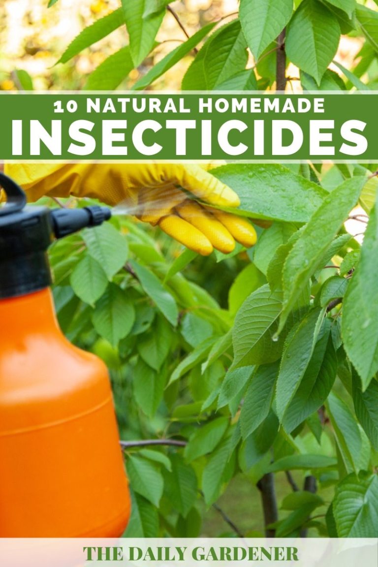 are insecticides and pesticides used in a vet setting