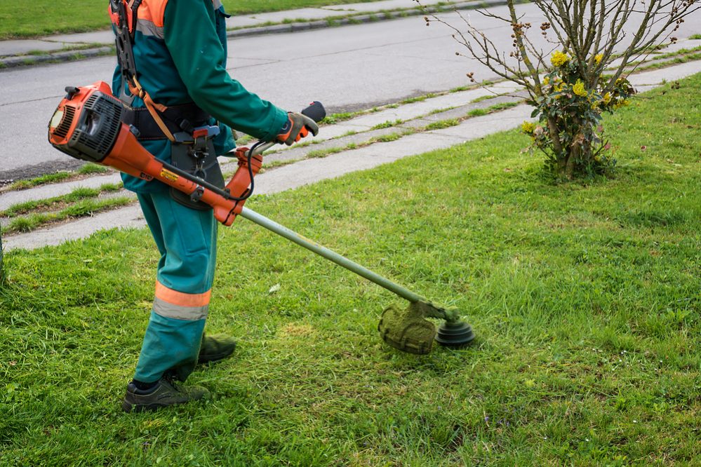 the best weed trimmer