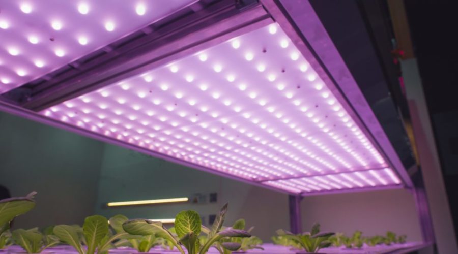 What are the best led grow lights
