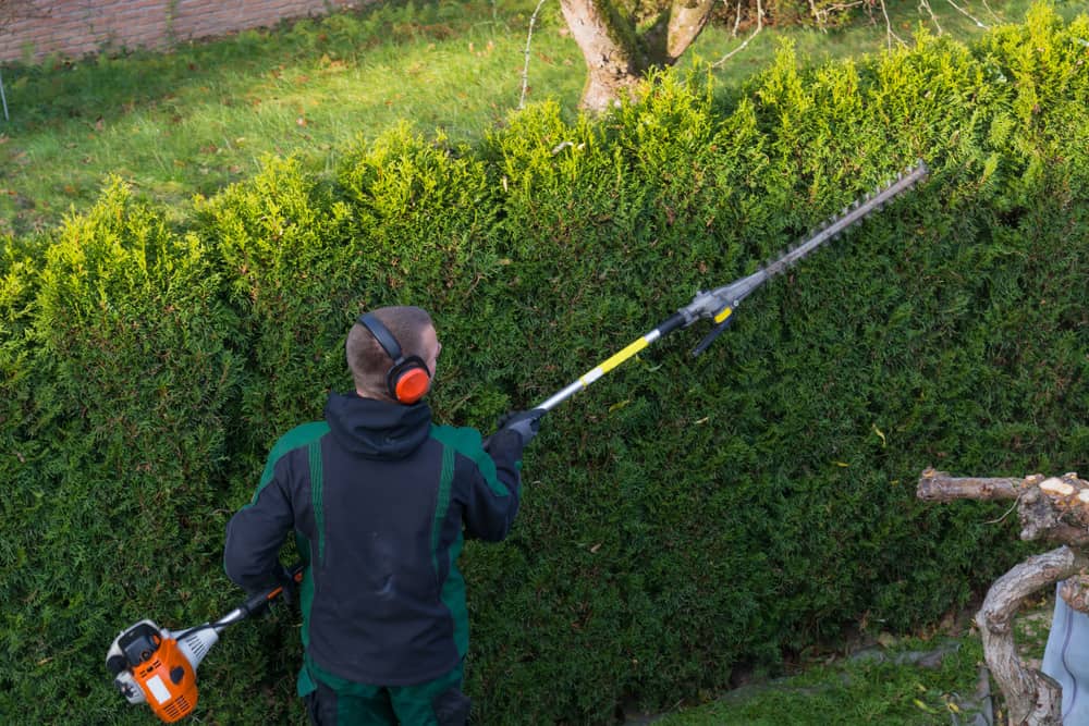 aeg hedge trimmer for sale