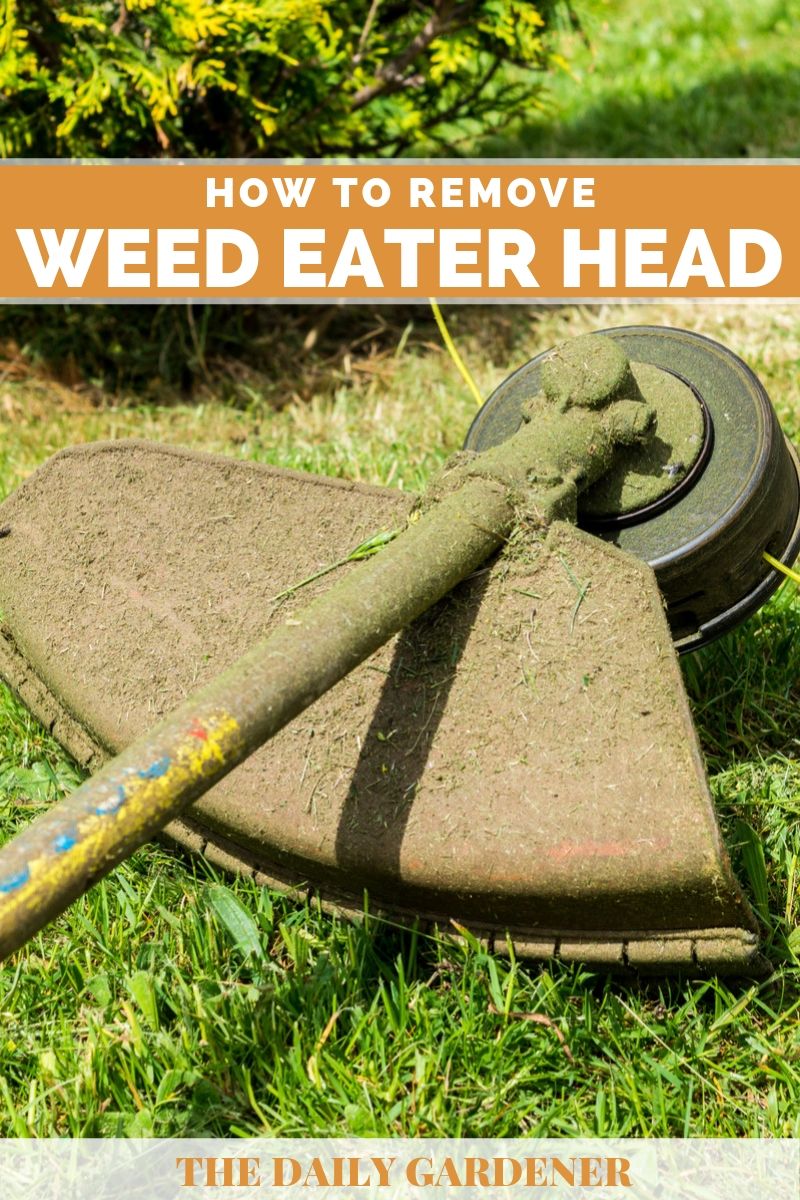 Dewalt Weed Eater Quick Load Head - Best Replacement Head For Dewalt String Trimmer