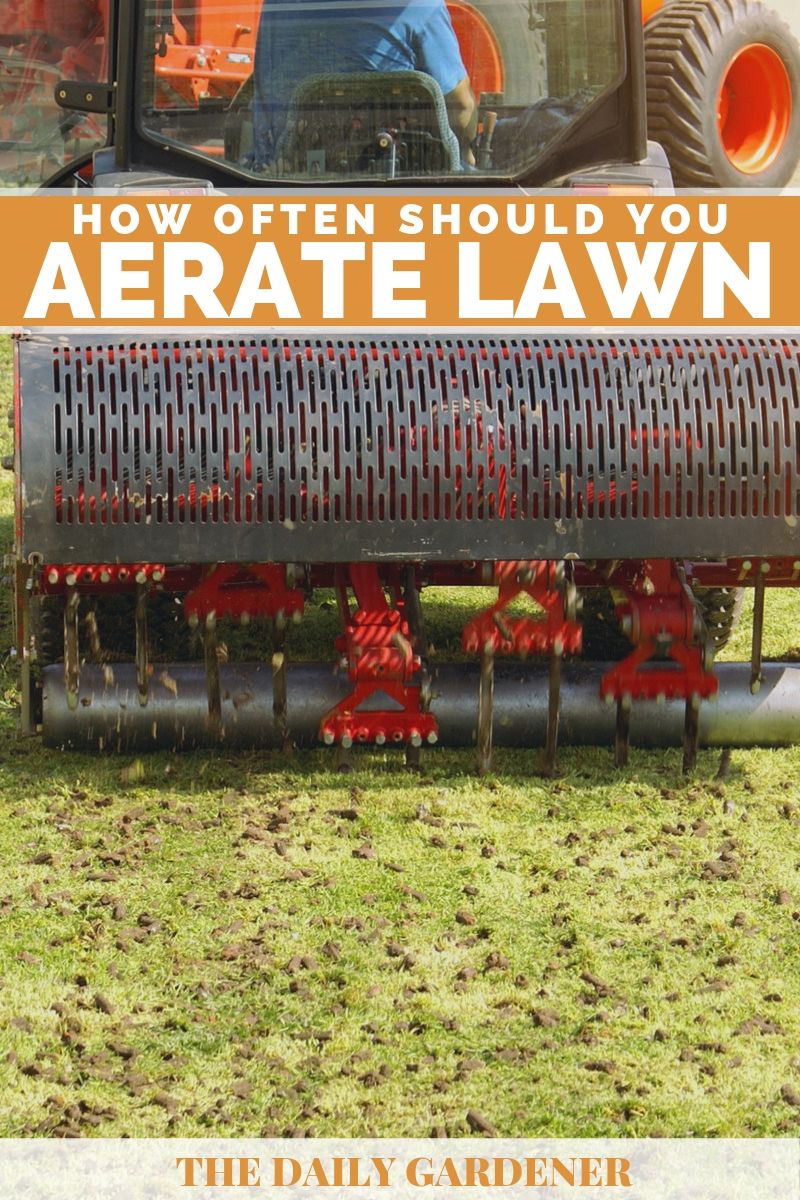 How Often Should You Aerate Your Lawn