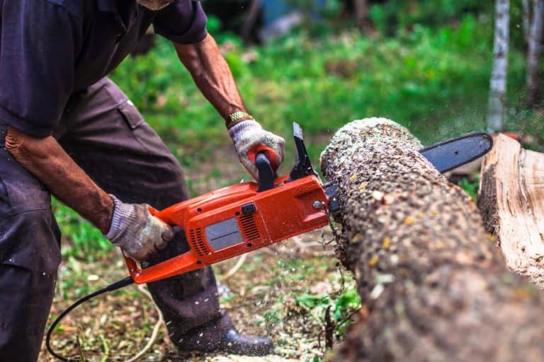 Electric vs. Gas Chainsaws - Which is Right for You?